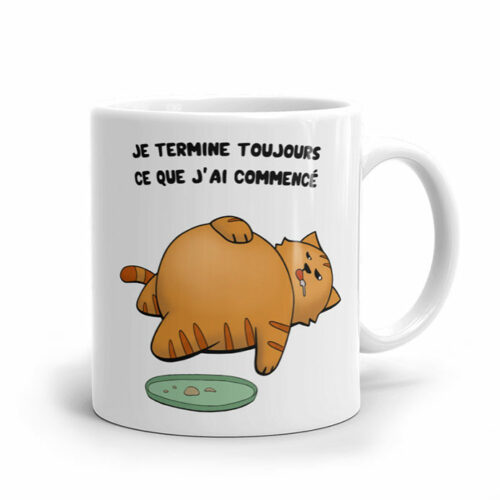 humour-gros-chat-roux